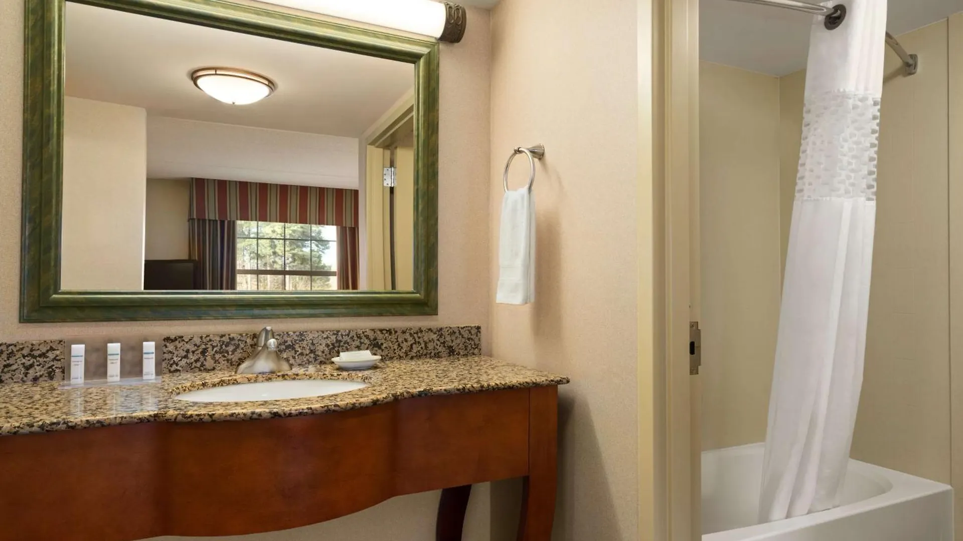 Hotel Hampton Inn & Suites Williamsburg-Central