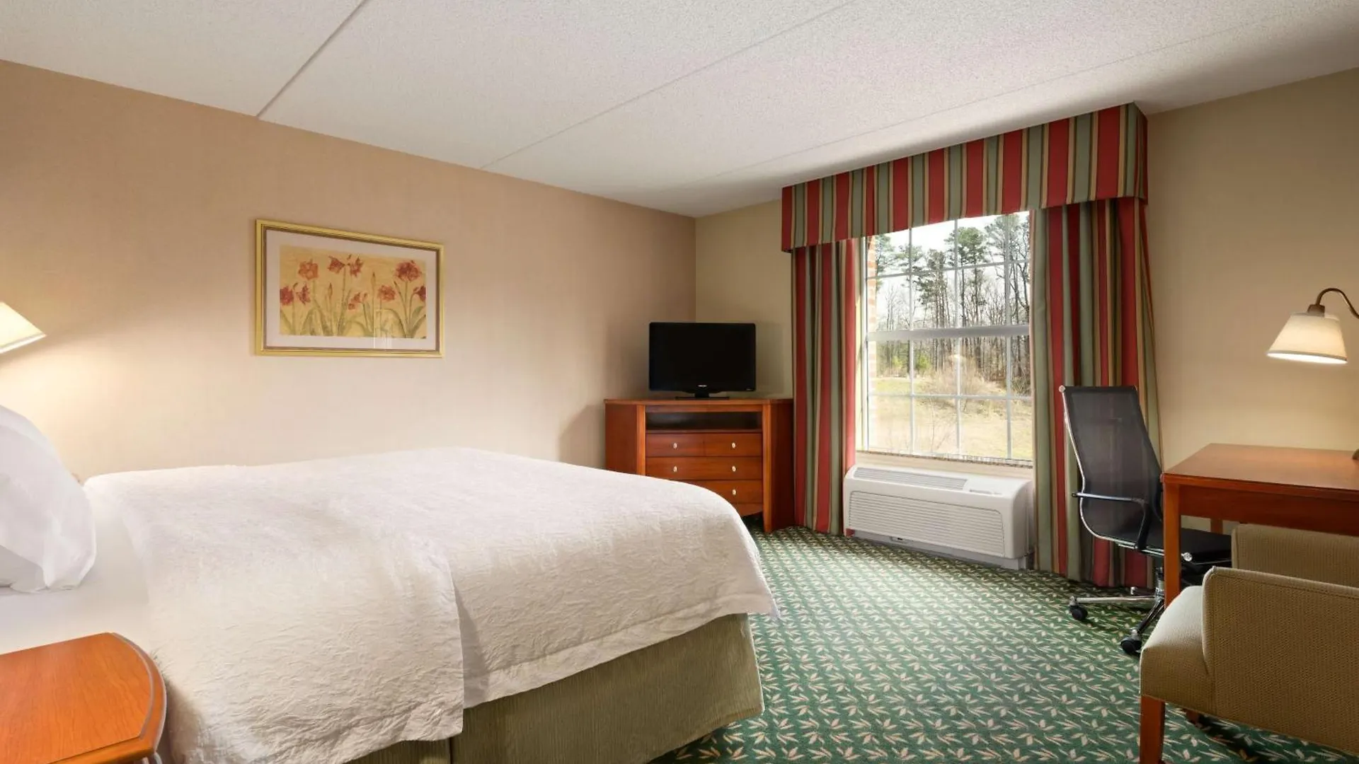 Hampton Inn & Suites Williamsburg-Central
